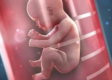 女性做试管取卵当天检查出黄体生成素高影响手术吗？