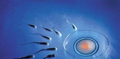 胚胎移植第33天出血莫要急,3招助你安稳度过整个孕期